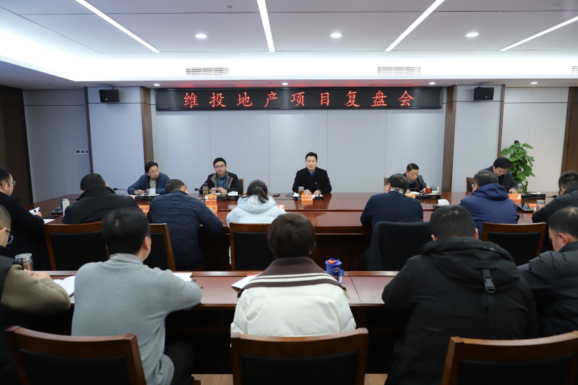 錘煉核心競爭力 打造區(qū)域領(lǐng)先地產(chǎn)國企標(biāo)桿——維投地產(chǎn)召開項(xiàng)目復(fù)盤會(huì)